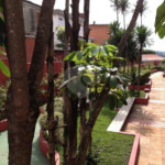 Cobertura à venda com 3 quartos, sendo 1 suíte, em Jardim Leonor, São Paulo, SP