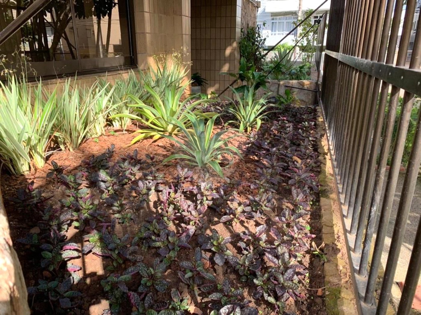 Apartamento à venda com 1 suíte em Enseada, Guarujá, SP