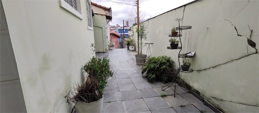 Casa à venda com 7 quartos em Vila Isolina Mazzei, São Paulo, SP