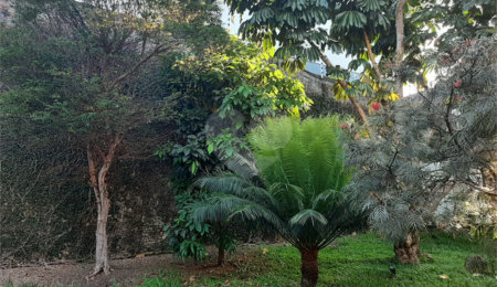 Casa Térrea à venda com 3 quartos em Horto Florestal, São Paulo, SP