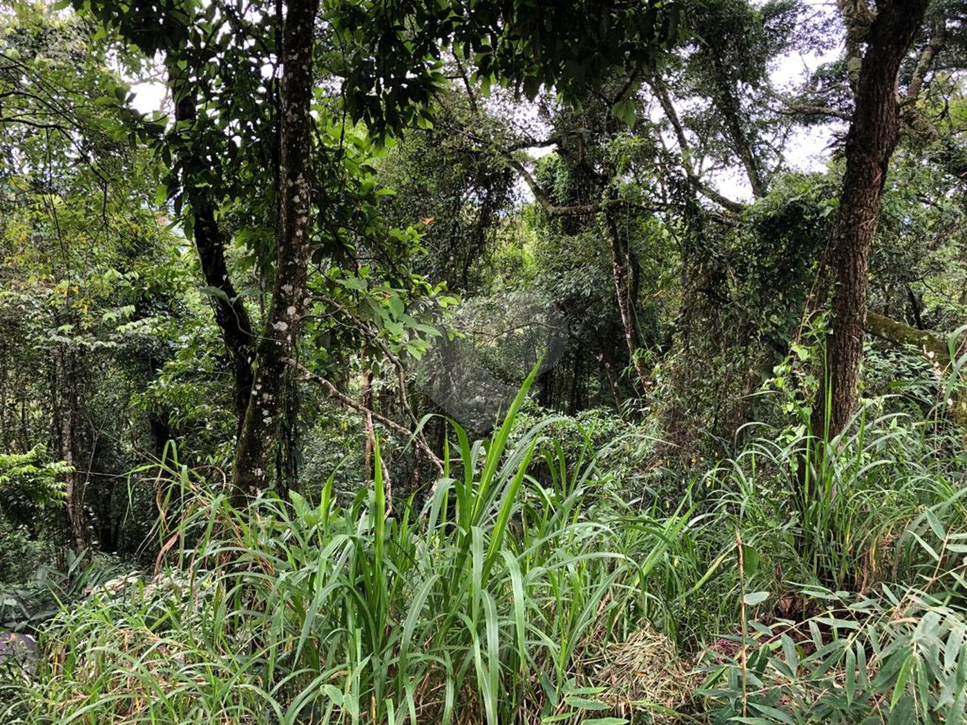 Terreno à venda no condomínio Gleba E1 E2, Mairiporã - SP