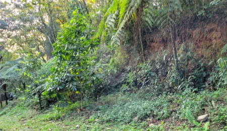 Terreno à venda no condomínio Itatiaia, Mairiporã - SP