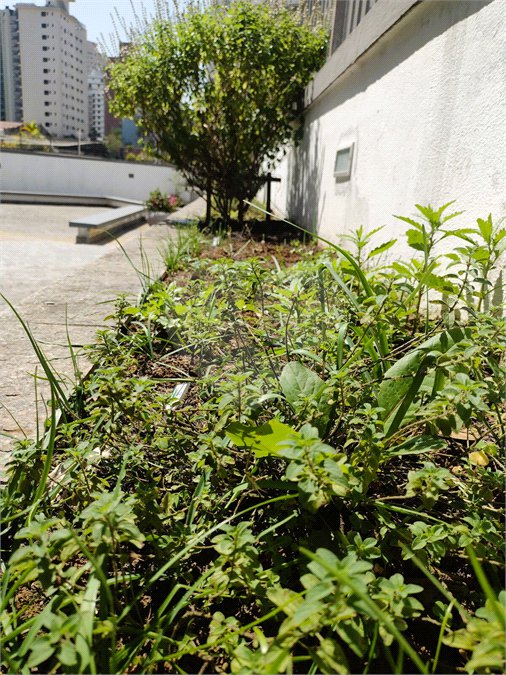 Apartamento à venda ou para alugar com 3 quartos, sendo 1 suíte,  em Real Parque, São Paulo, SP