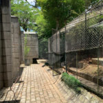 Casa à venda com 5 quartos, sendo 3 suítes, em Morumbi, São Paulo, SP