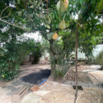 Belíssima Chácara à venda no Bairro Lago Azul em Piracicaba/SP.