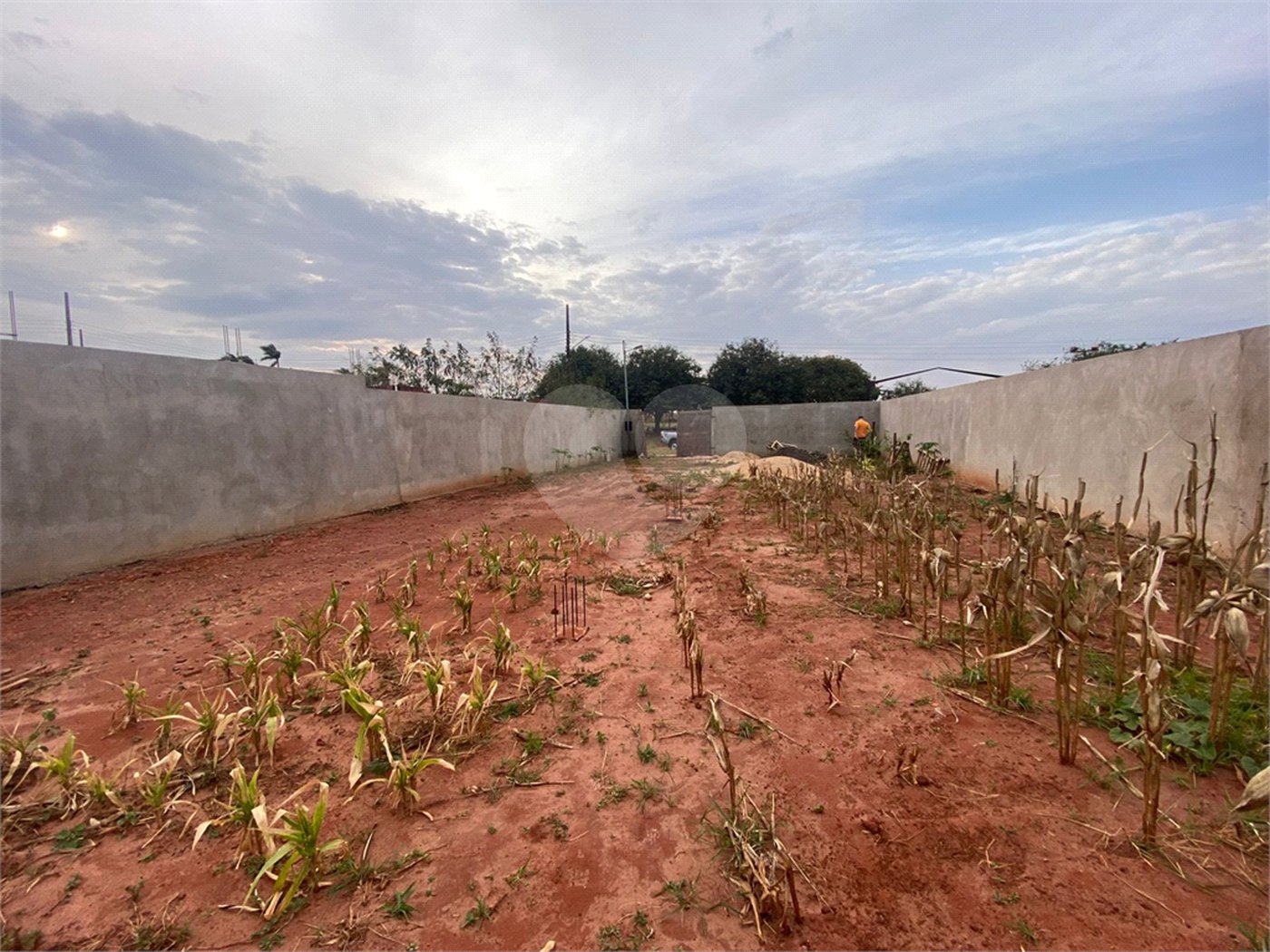 Terreno à venda em Jardim Estoril, Ponta Porã, MS