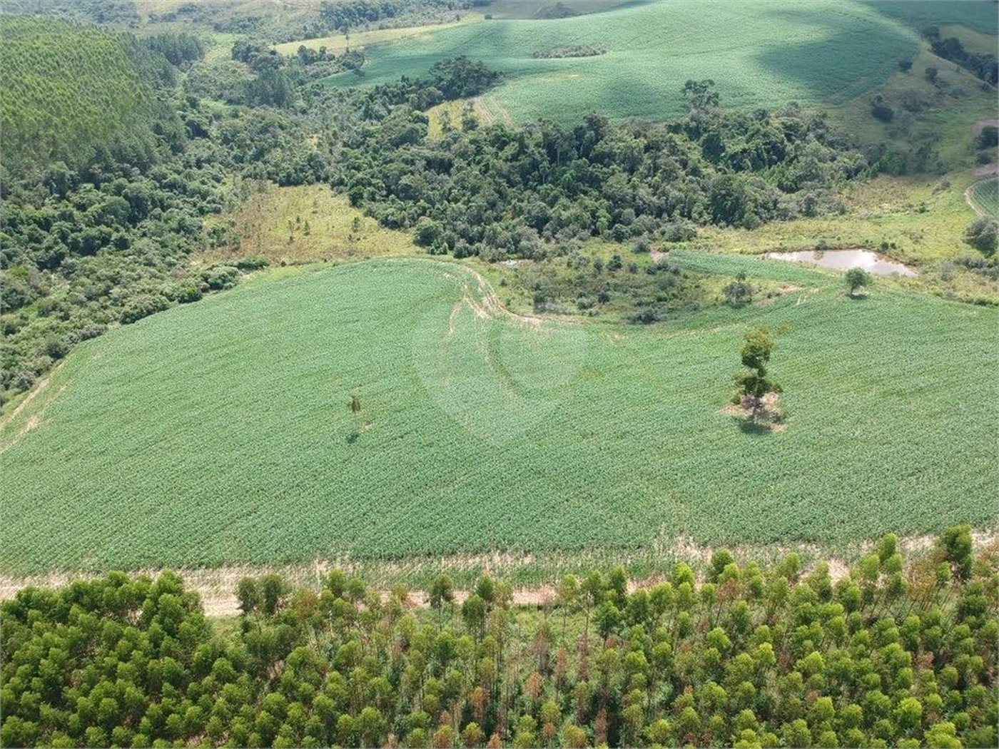 Sítio à venda com 3 quartos em Área Rural de São Miguel Arcanjo, São Miguel Arcanjo, SP