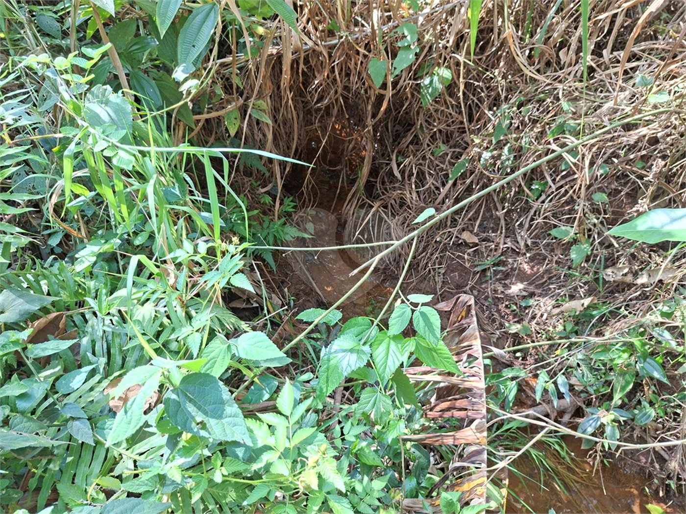 Terreno à venda em Chácara Fernão Dias, Bragança Paulista, SP