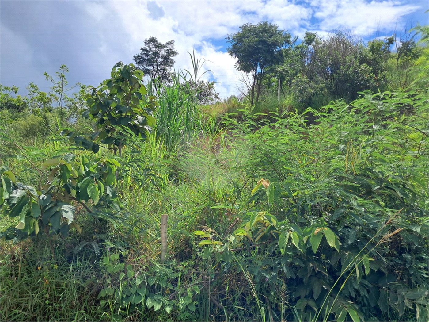 Terreno à venda em Jardim Estância Brasil, Atibaia, SP