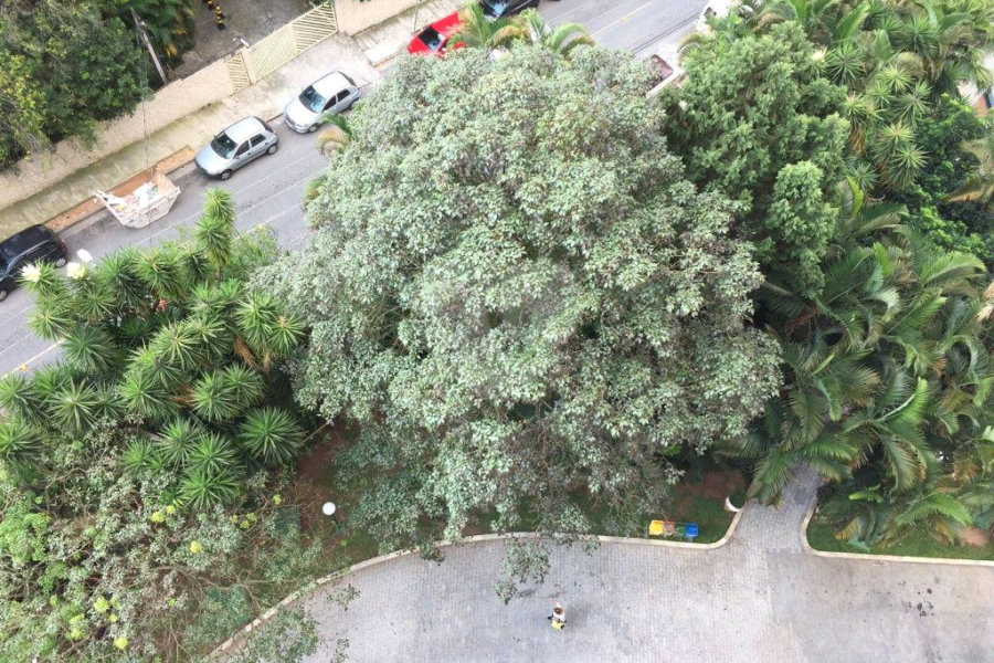 Maravilhoso apartamento em um dos melhores condomínios da zona Norte e próximo ao Metrô Tucuruvi!