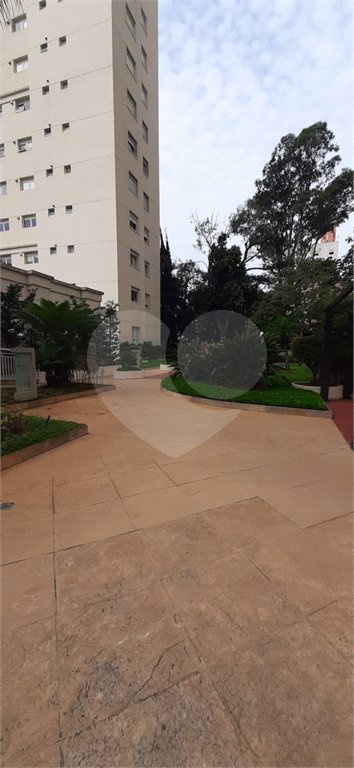 Apartamento Alto Padrão de 176m² na Aclimação — São Paulo/SP