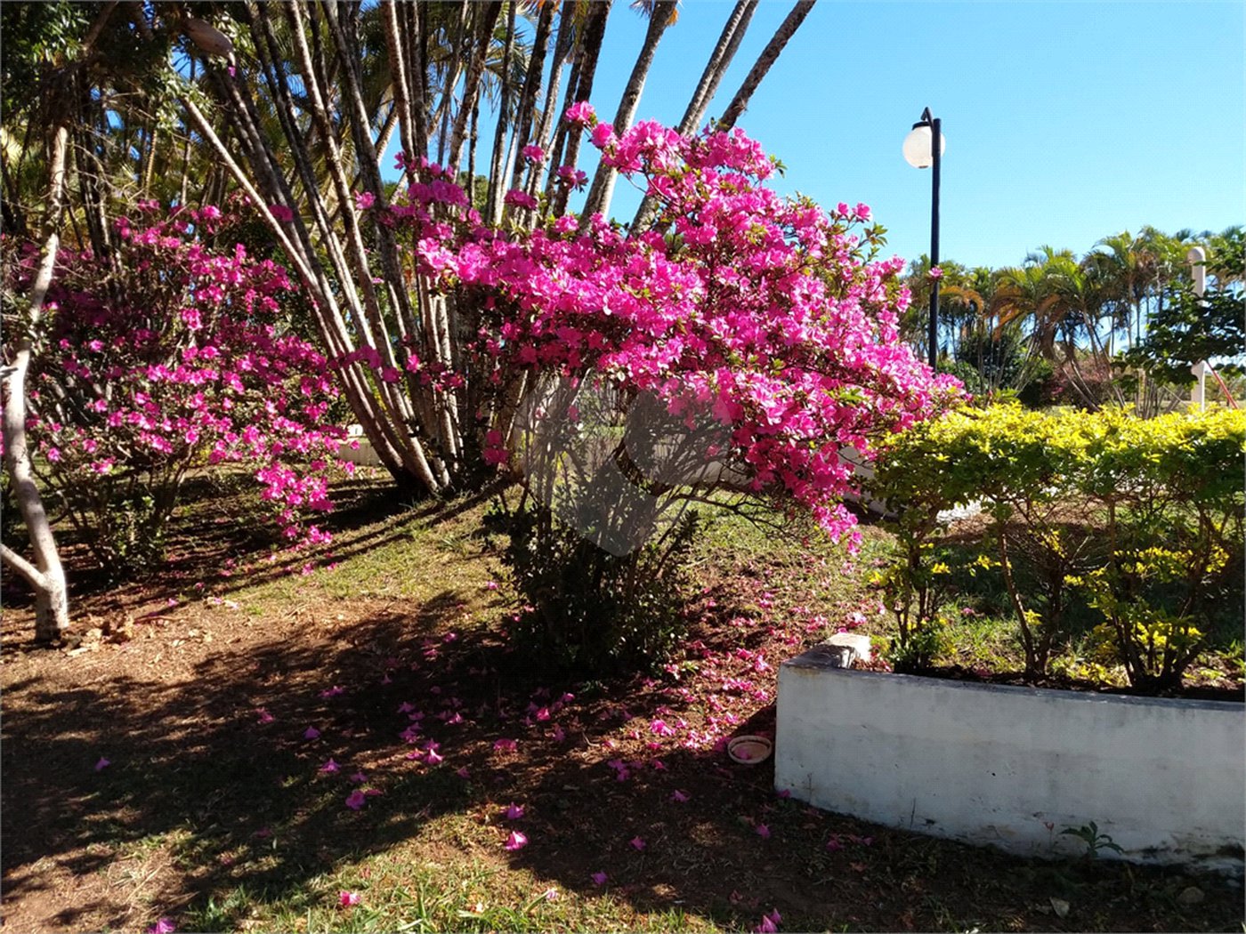 Chácara a venda no Parque Itaipu