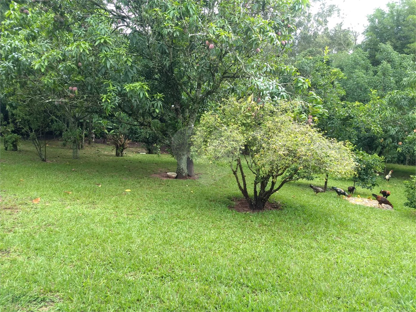 Chácara a venda no Residencial Planalto Serra Verde em Itirapina