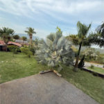 Casa Alto Padrão à venda - Condominio Haras El Paso | Mairiporã | SP