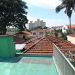 Exuberante no Horto Florestal