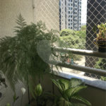 APARTAMENTO A VENDA JARDIM AQUARIUS COM 77M², 3 DORMITORIOS, 1 SUITE, 2VAGA, SÃO JOSÉ DOS CAMPOS/SP.