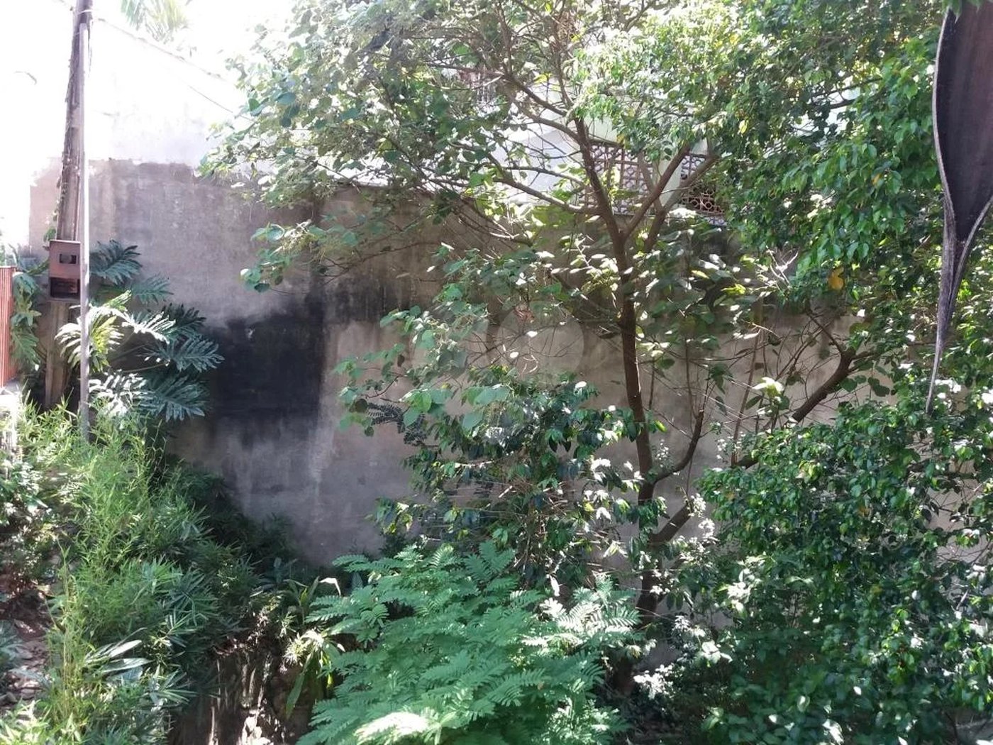 Casa térrea à venda em local tranquilo e arborizado