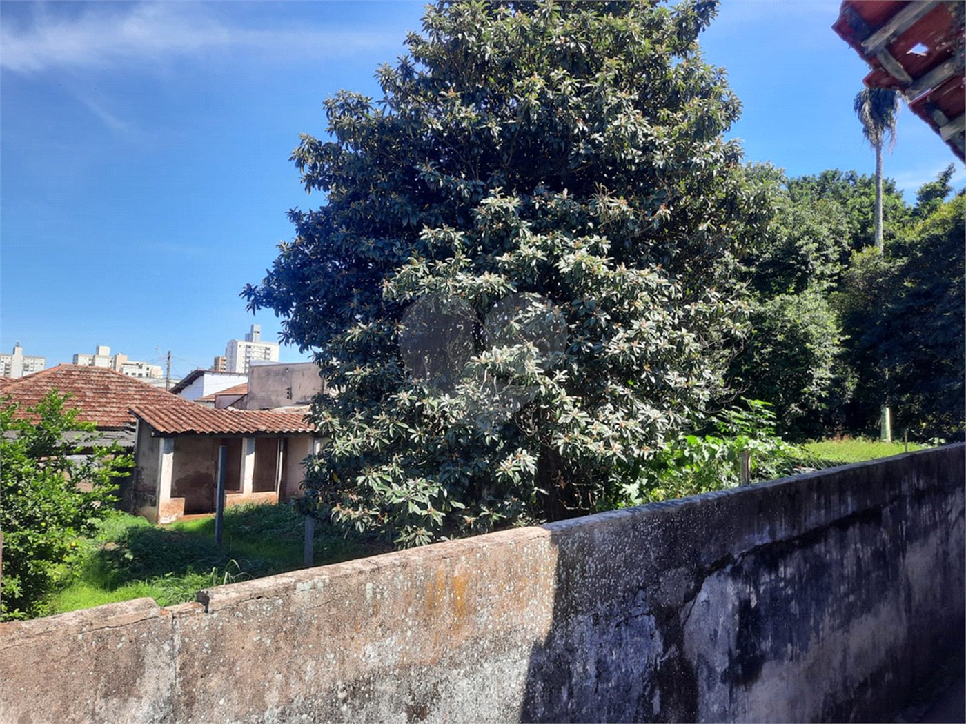 Terreno para venda na Rua 13 de maio