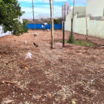 Oportunidade Única no Jardim Cardinalli – Terreno em Localização Privilegiada.