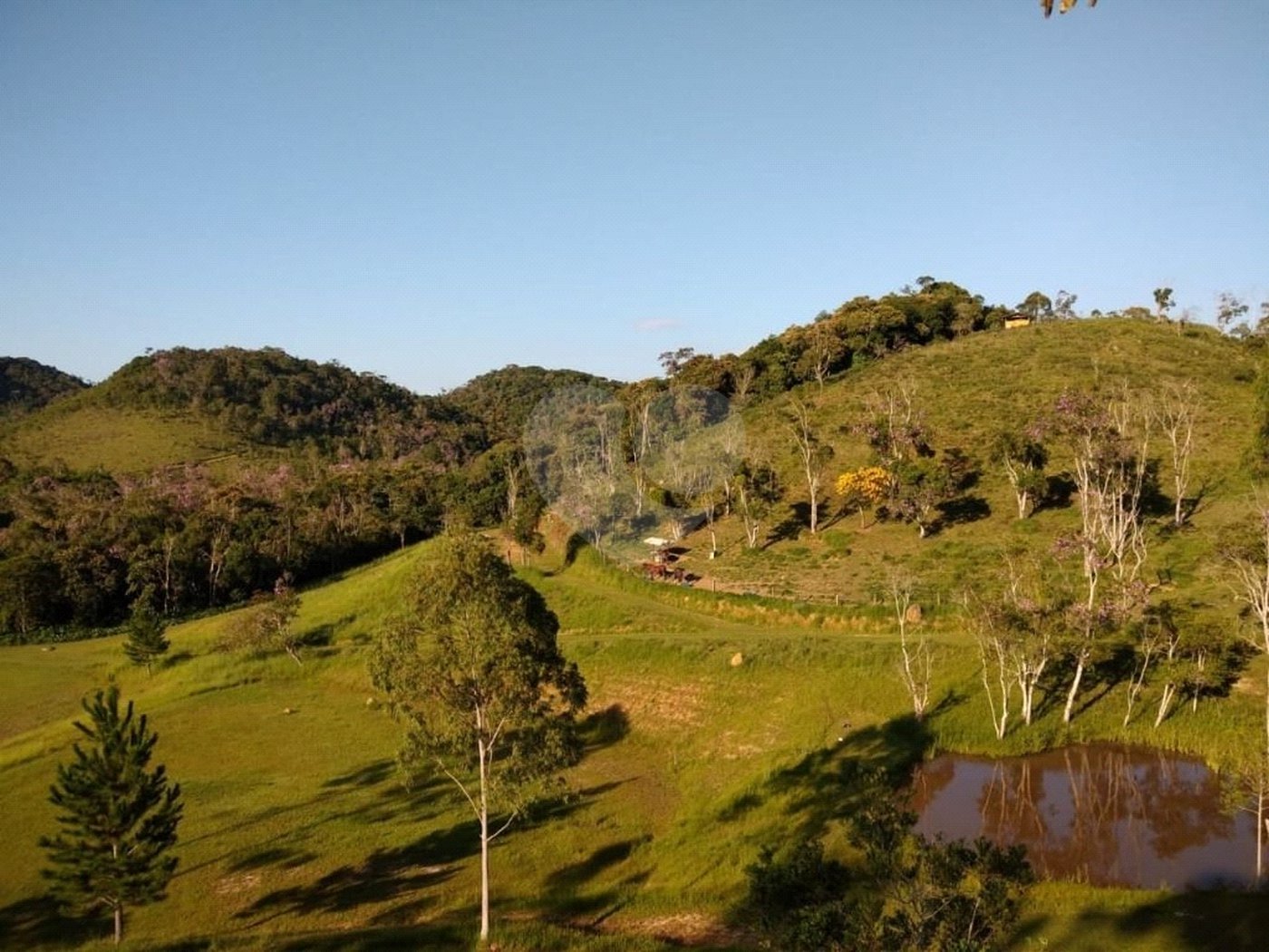 Sítio à Venda Natividade da Serra c/ 2.291,56m² Area Const. e 271.000,00m² Área Total