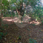 Terreno Residencial/Comercial - Chácara Parque Club