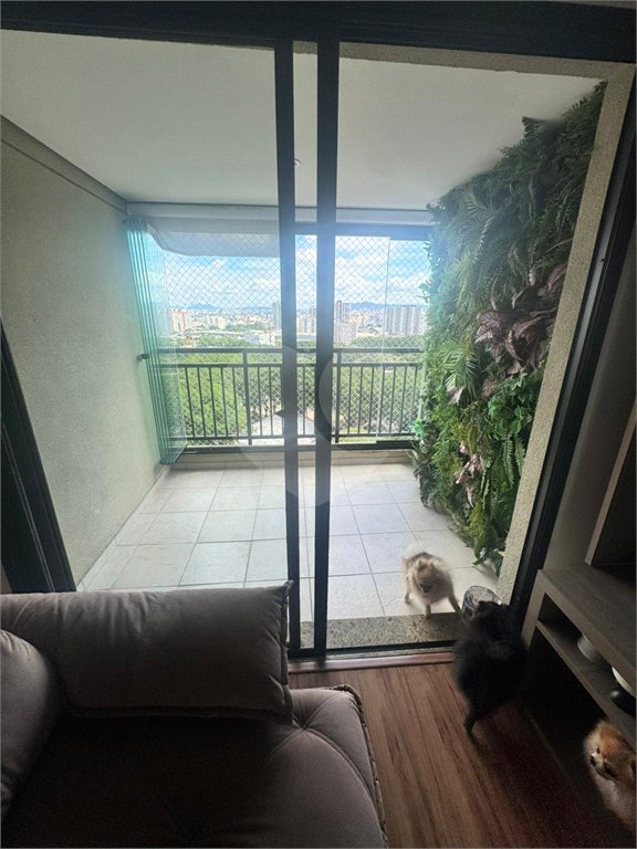 Apartamento com 69m² à venda na Moóca, 3 dormitórios, 1 suíte, 2 vagas, andar alto com vista livre, lazer completo