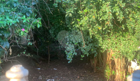 Terreno à venda em Vila Prado, São Carlos, SP