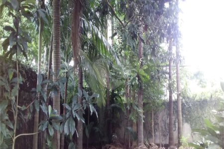 Casa Térrea à venda com 4 quartos, sendo 1 suíte, em Granja Julieta, São Paulo, SP