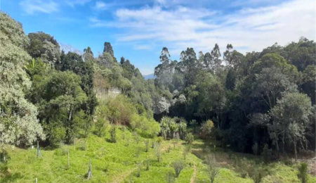 Terreno à venda em Serra da Cantareira, Mairiporã, SP