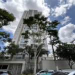 Apartamento à venda com 2 quartos, sendo 1 suíte, em Santa Teresinha, São Paulo, SP