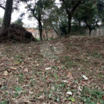 Terreno à venda em Tremembé, São Paulo, SP