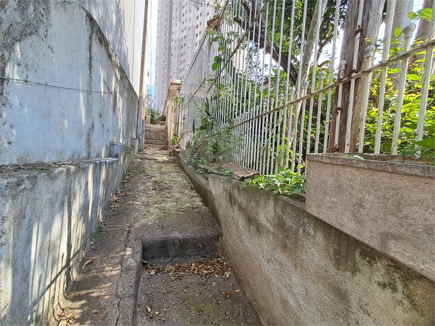 Casa à venda com 3 quartos em Vila Gustavo, São Paulo, SP
