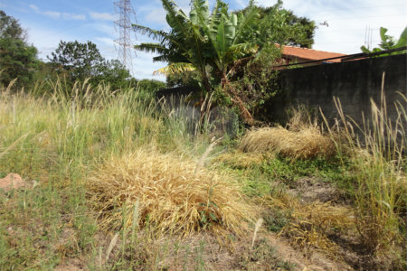 Terreno à venda em Vista Alegre, Vinhedo, SP