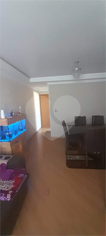 Apartamento à venda com 3 quartos em Vila Nova Cachoeirinha, São Paulo, SP