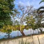 Casa à venda com 3 quartos, sendo 1 suíte, no Centro, Araçoiaba da Serra, SP