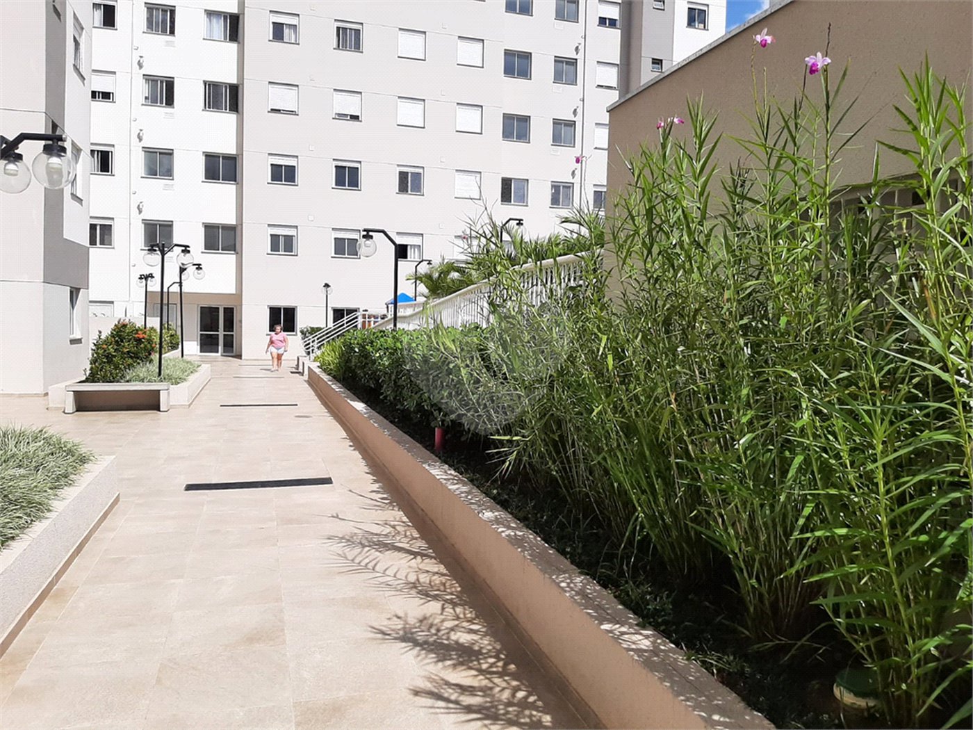 Apartamento à venda com 2 quartos em Vila Nova Cachoeirinha, São Paulo, SP