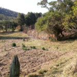 Sítio à venda com 3 quartos em Bairro do Cambará, São Roque, SP
