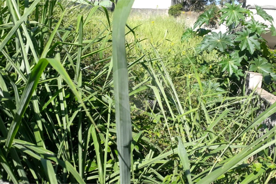 Terreno à venda em Santana, São Paulo, SP