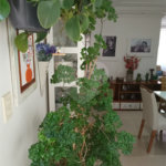 APARTAMENTO LINDO TODO REFORMADO MOOCA