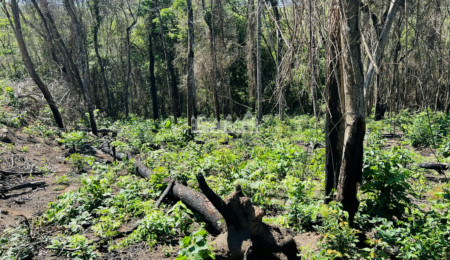 Loteamento à venda em Estância Santa Maria do Laranjal, Atibaia, SP