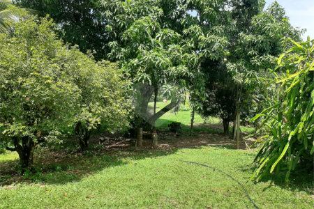 Terreno à venda em Cachoeira, Vinhedo, SP