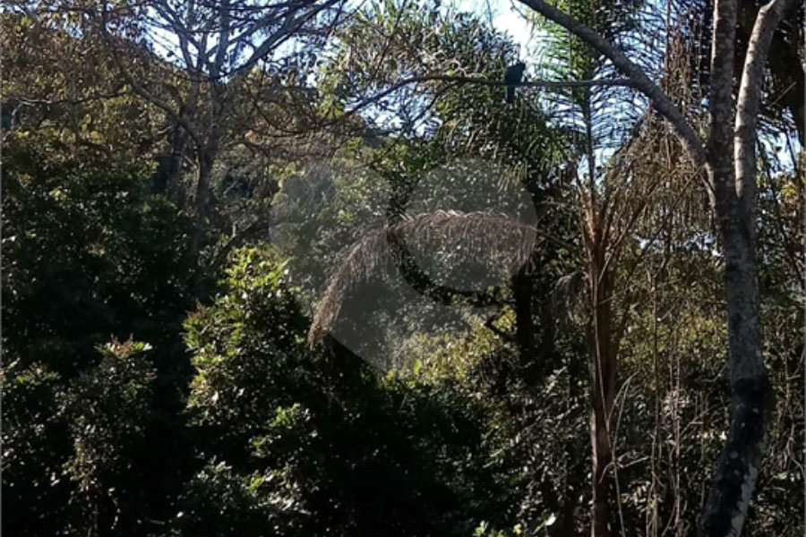 Terreno à venda em Serra da Cantareira, Mairiporã, SP