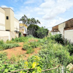 Terreno à venda em Jardim Irajá, Ribeirão Preto, SP