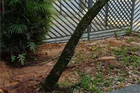 Sobrado à venda ou para alugar com 5 quartos, sendo 1 suíte,  em Vila Ida, São Paulo, SP