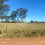 Terreno à venda em Jardim Residencial Iedda, Araraquara, SP