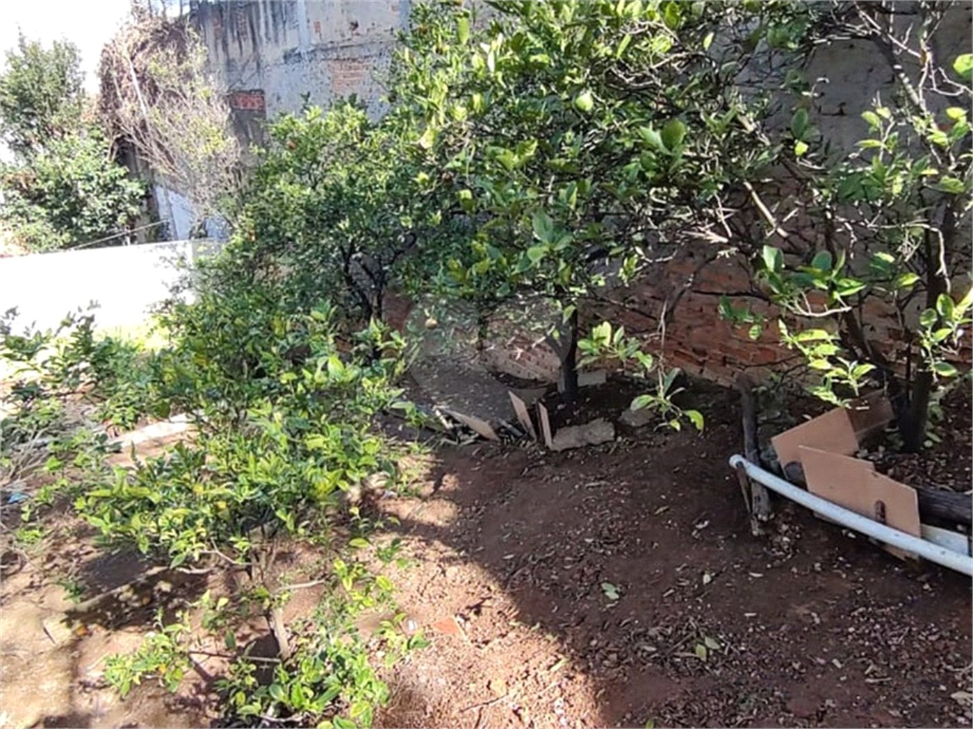 Terreno à venda em Vila Gustavo, São Paulo, SP