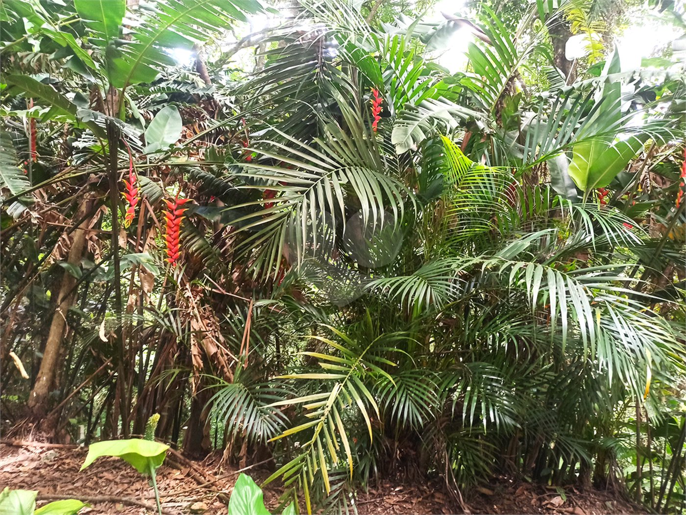 Sítio à venda com 13 quartos, sendo 4 suítes,  em Portão, Atibaia, SP