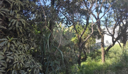 Terreno à venda em Jardim Paulista, Atibaia, SP