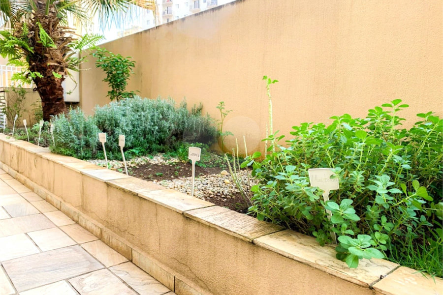 Apartamento à venda com 2 quartos, sendo 1 suíte, em Santana, São Paulo, SP