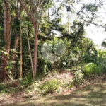 Terreno à venda no condomínio Suíça da Cantareira, Mairiporã - SP